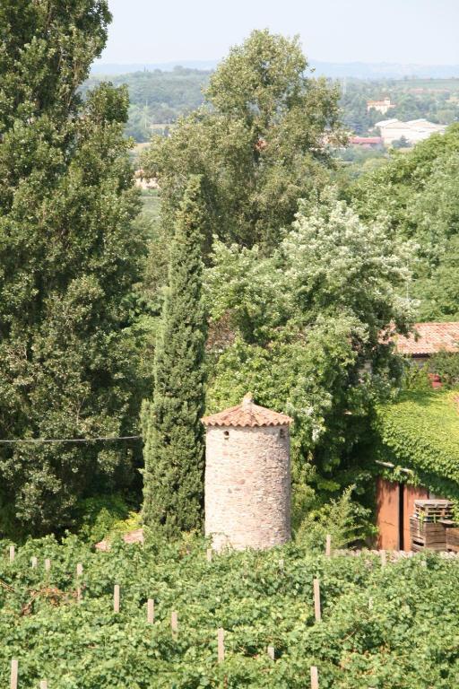 Agriturismo Corte Marzago Salionze 外观 照片